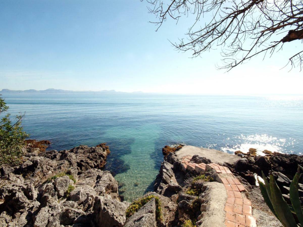 Alcanada Torre Mayor, Solo 50 Metros Del Mar Alcúdia Eksteriør bilde